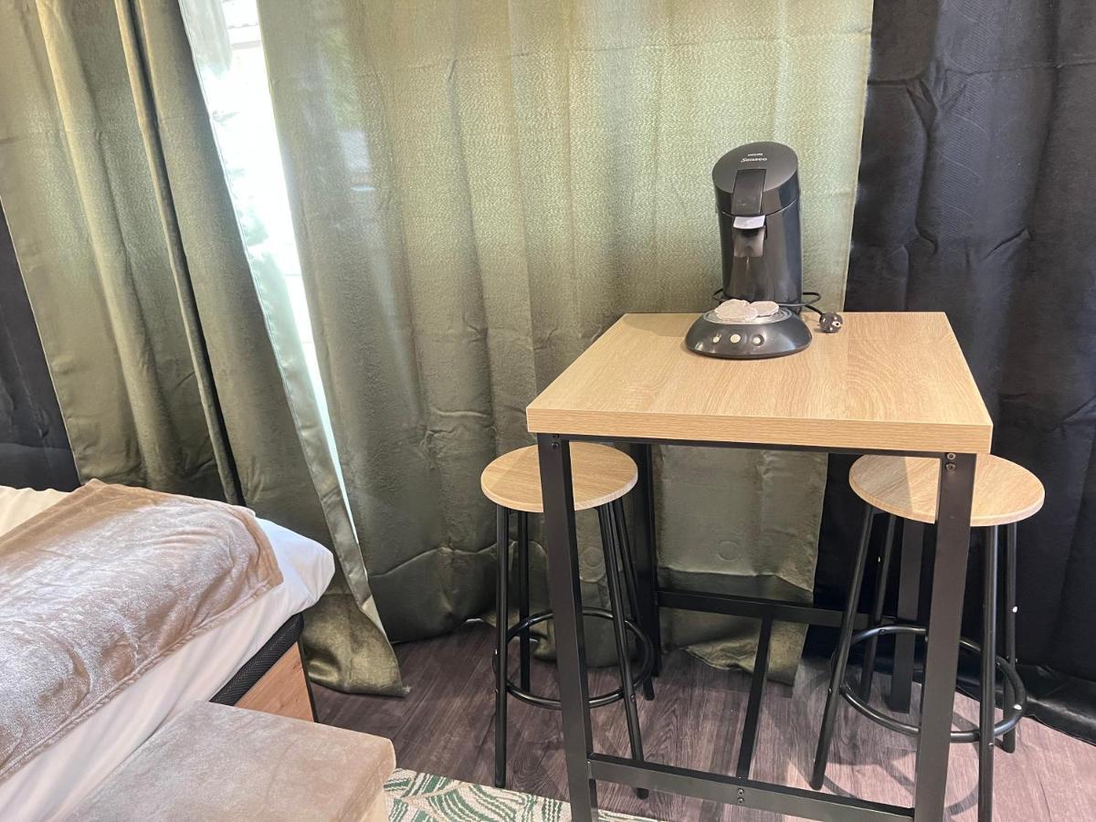 L'Ancillon Metz Gare Wifi Un-Sejour-A-Part Appartement Buitenkant foto